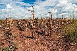 climatechange