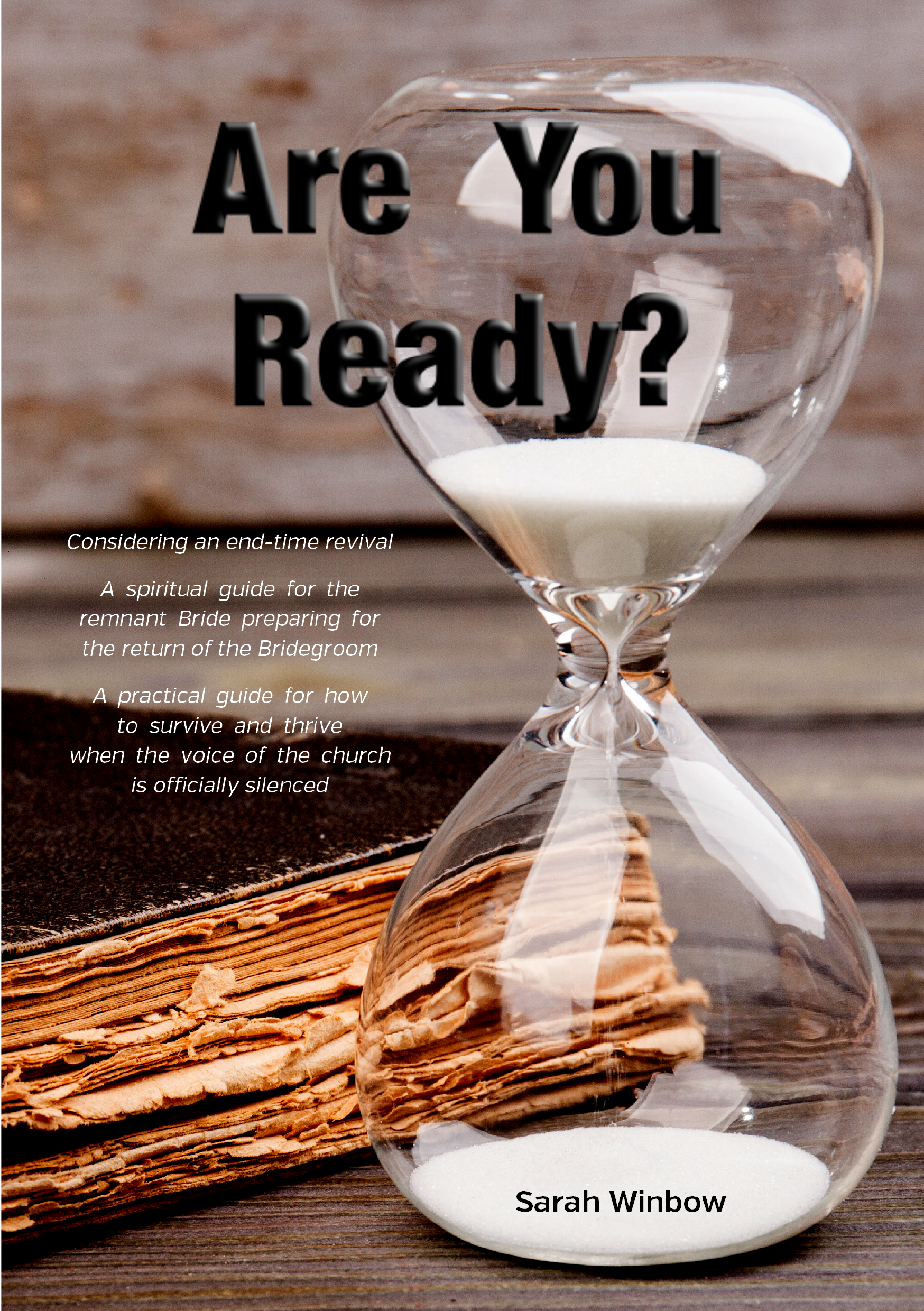 Are You Ready cover image