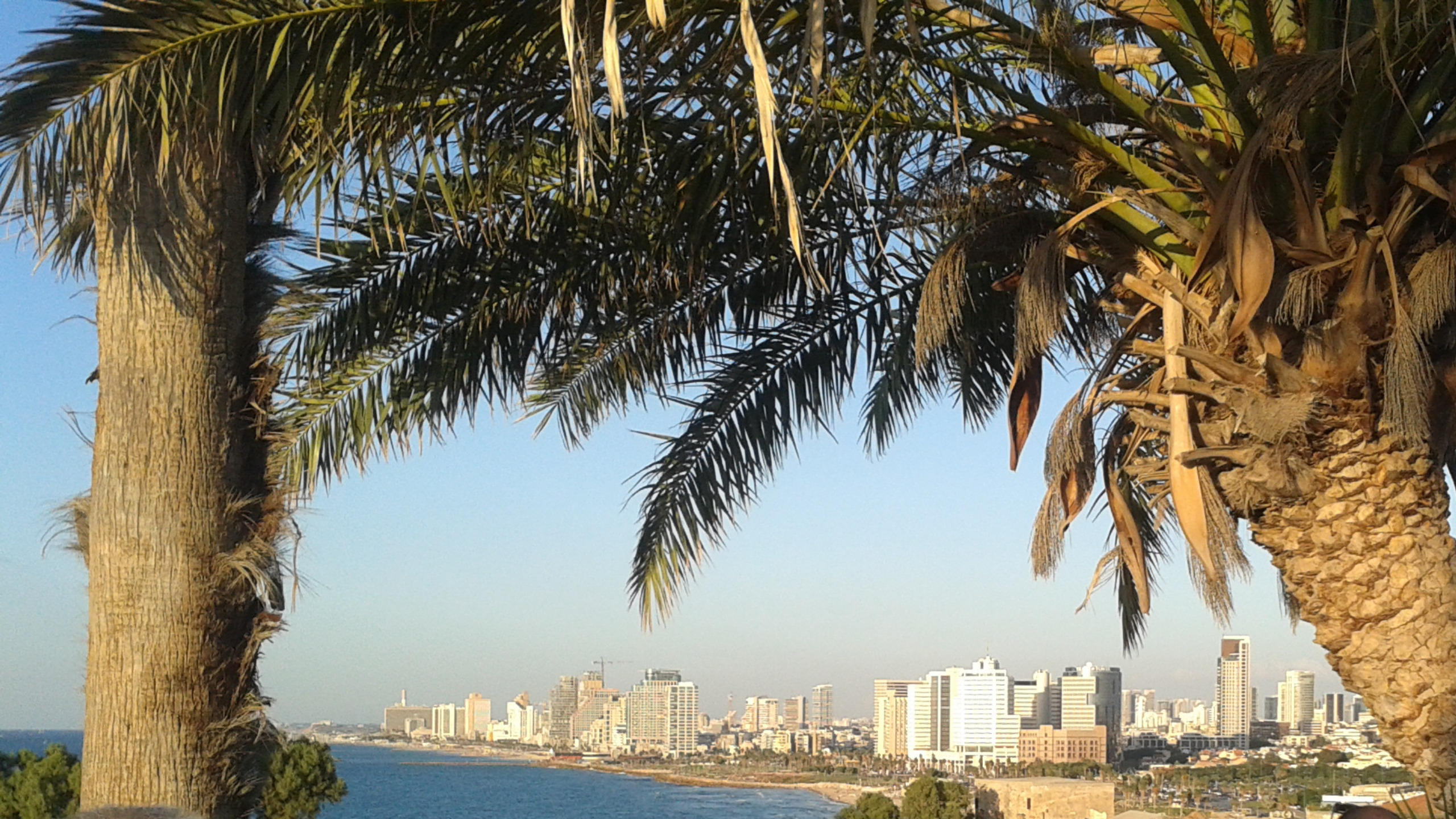 Tel Aviv Charles Gardner