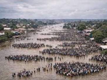 amazon brazil
