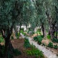 A brief history of modern Israel