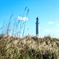 Through the Storm: Our Strong Tower