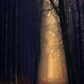 Through the Storm: Encroaching Darkness