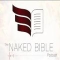 Naked Bible Podcast by Dr Michael Heiser