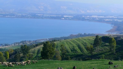 An Impossible Dream: Two-state solution